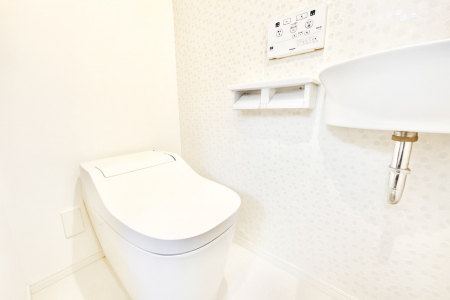 gC@`Toilet`@̂gCB̂鐅gC͖g킴𓾂Ȃ́BۂłˁBꕔCGH