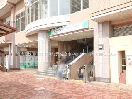 ���ӊ��@�w 1780m �����d�S�u���[�J�����u�v�w