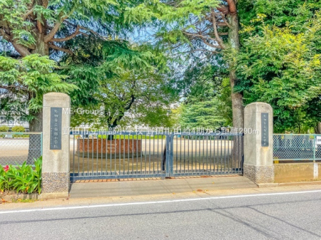 ӊ@wZ 290m cs암wZ