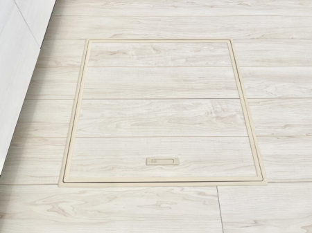 ���̑����ρ@�������[�t���I���p�i�E���p�i�̎��[�ɂ��劈��B