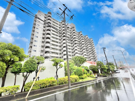 ���n�O�ώʐ^�@��������n�܂�V�����������������܂��@