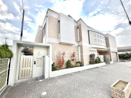 ���n�O�ώʐ^�@��Ƃ肪�Ί�𐶂ސS�n�悢���� 