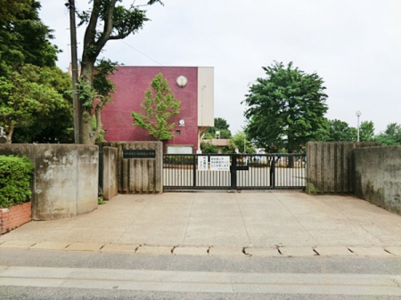 ���ӊ��@���w�Z 290m �l�X���s���l�X�����w�Z