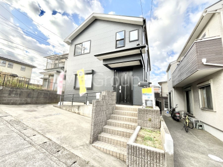 nOώʐ^@Ƃ肪Ί𐶂ސSn悢 