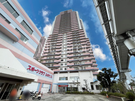 ���n�O�ώʐ^�@����z���ł��Ƒ��̏Ί���P��