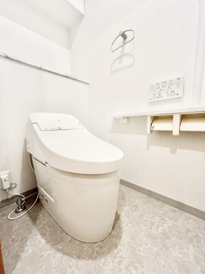 �g�C���@�g�C���͉������@�\�t��  