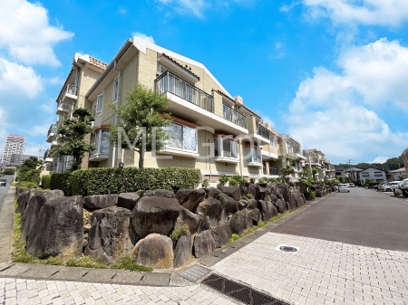 ���n�O�ώʐ^�@����z���ł��Ƒ��̏Ί���P��  