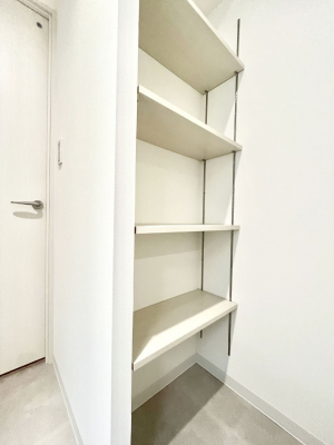 ̑ρ@֗ȃlɂŁAXbLg₷ʎ  