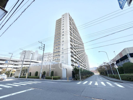 ���n�O�ώʐ^�@��������n�܂�V�����������������܂�