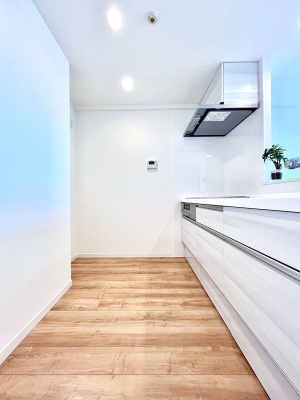 �L�b�`���@��Ƃ肠��L�b�`���X�y�[�X�ł�������H��̌�Еt�����X���[�Y�ɁI