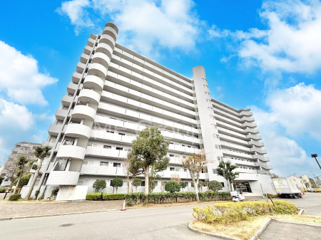 ���n�O�ώʐ^�@��Ƃ肪�Ί�𐶂ސS�n�悢���� 