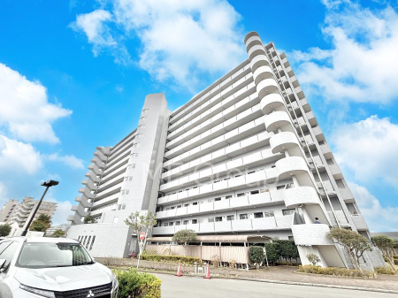 ���n�O�ώʐ^�@����z���ł��Ƒ��̏Ί���P�� 