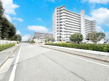 ���n�O�ώʐ^�@��������n�܂�V�����������������܂�