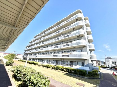 ���n�O�ώʐ^�@����z���ł��Ƒ��̏Ί���P�� 