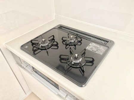 ���̑����ρ@�O���K�X�R�����ł���������C�ɂ͂��ǂ肻���B  