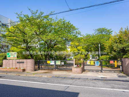 ���ӊ��@���w�Z 510m �D���s���������w�Z