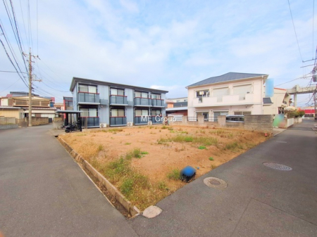 ���n�y�n�ʐ^�@-