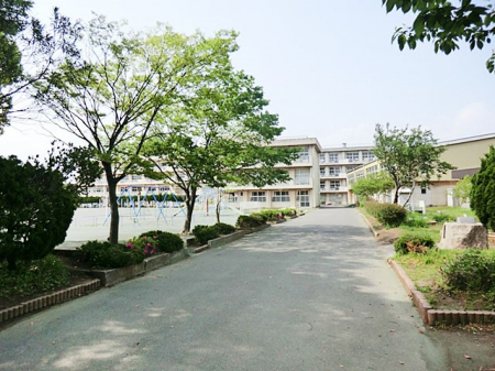 ���ӊ��@���w�Z 560m ��t�s���������u�����w�Z