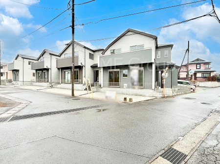 ���n�O�ώʐ^�@�p�n�Ȃ̂œ���������ǂ��A���Ƃ����X�Ƃ��Č����܂��B