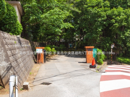 ���ӊ��@���w�Z 1190m ��t�s�����]�����w�Z