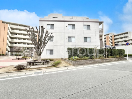 ���n�O�ώʐ^�@�����ɕ֗��Ȓn�ɐL�т₩�ȉƑ��̐������i��`���Z�܂�