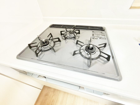 ���̑����ρ@�O���K�X�R�����ł���������C�ɂ͂��ǂ肻���B  