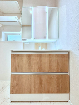 ���ʑ�E���ʏ��@���[�͂Ƌ@�\���ɗD�ꂽ���ʉ��ϑ�