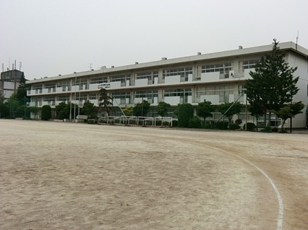 ���ӊ��@���w�Z 1100m ��c�s����Ԓ��w�Z