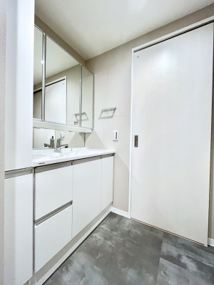 ���ʑ�E���ʏ��@�����`Dressing Room�`�@�\���ȑ傫���̐��ʑ�͎��[�����鎖�Ȃ���A�g�����Ȃ݃`�F�b�N�⎕�����ȂǁA���̍Q�����������Ԃł��z�e�����C�N�ȃX�y�[�X�ŗ]�T�Ƃ�Ƃ�������Ē����܂��B