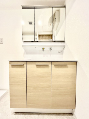 ���ʑ�E���ʏ��@�����`Dressing Room�`�@�\���ȑ傫���̐��ʑ�͎��[�����鎖�Ȃ���A�g�����Ȃ݃`�F�b�N�⎕�����ȂǁA���̍Q�����������Ԃł��z�e�����C�N�ȃX�y�[�X�ŗ]�T�Ƃ�Ƃ�������Ē����܂��B