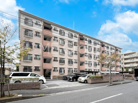 ���n�O�ώʐ^�@��Ƃ肪�Ί�𐶂ސS�n�悢����