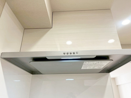 ���̑����ρ@�t���b�g�^�C�v�̃����W�t�[�h�ł��|�����N���N