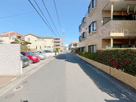 ���n�O�ώʐ^�@��������n�܂�V�����������������܂�