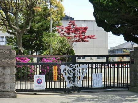 ���ӊ��@���w�Z 1277m ��t�s���h�䏬�w�Z