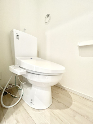 �g�C���@�������Q�������`Toilet�`�@�������̂��鐅����g�C���̓E�H�V�����b�g�t���ł����g�C���͖����g�킴��𓾂Ȃ����́B����������ۂ������ł��ˁB�g�C����2��������̂Œ��̍��G���ɕ֗��ł��I