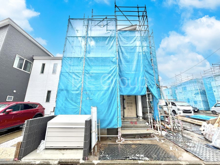 ���n�O�ώʐ^�@����z���ł��Ƒ��̏Ί���P��