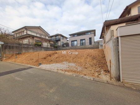 ���n�y�n�ʐ^�@-