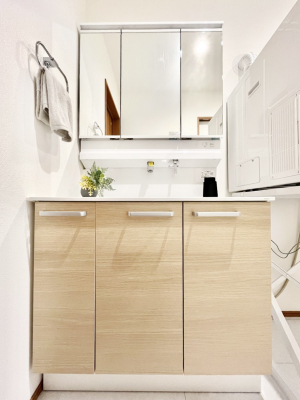 ���ʑ�E���ʏ��@�����`Dressing Room�`�@�\���ȑ傫���̐��ʑ�͎��[�����鎖�Ȃ���A�g�����Ȃ݃`�F�b�N�⎕�����ȂǁA���̍Q�����������Ԃł��z�e�����C�N�ȃX�y�[�X�ŗ]�T�Ƃ�Ƃ�������Ē����܂��B