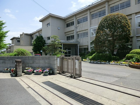 ���ӊ��@���w�Z 1000m ��t�s�����l���w�Z