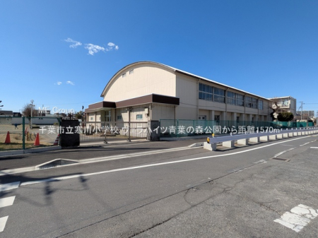 ���ӊ��@���w�Z 1570m ��t�s�����쏬�w�Z