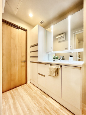 ���ʑ�E���ʏ��@���[�͂Ƌ@�\���ɗD�ꂽ���ʉ��ϑ�  