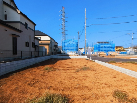 ���n�y�n�ʐ^�@-