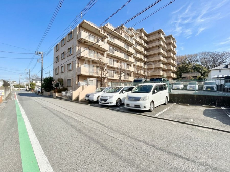 ���n�O�ώʐ^�@����z���ł��Ƒ��̏Ί���P�� 