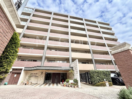 ���n�O�ώʐ^�@����z���ł��Ƒ��̏Ί���P��  