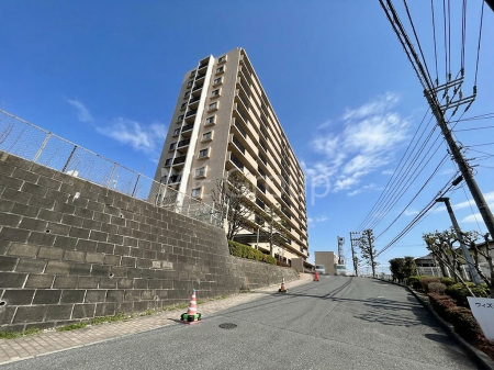 ���n�O�ώʐ^�@��������n�܂�V�����������������܂�