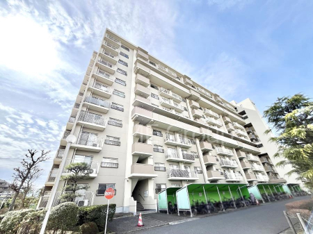 ���n�O�ώʐ^�@����z���ł��Ƒ��̏Ί���P�� 