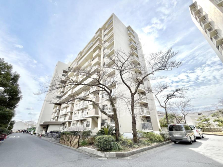 ���n�O�ώʐ^�@��������n�܂�V�����������������܂�