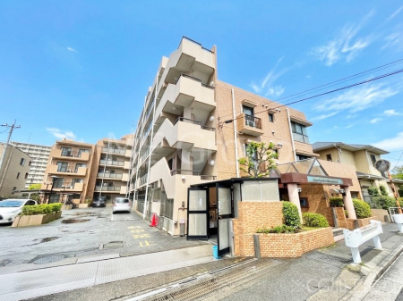 ���n�O�ώʐ^�@��������n�܂�V�����������������܂�