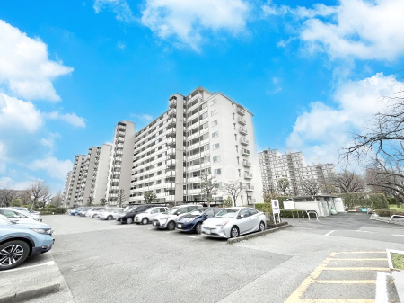 ���n�O�ώʐ^�@����z���ł��Ƒ��̏Ί���P�� 