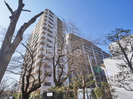 ���n�O�ώʐ^�@����z���ł��Ƒ��̏Ί���P��